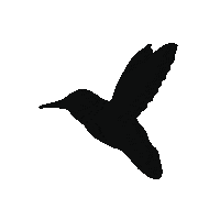 output-onlinegiftools.gif