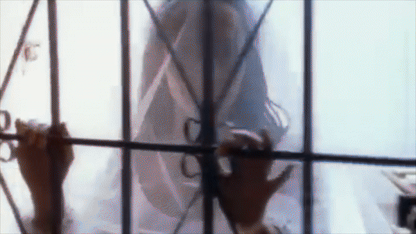 ezgif-1-fe3747e47d.gif