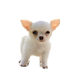 4C6D1458-E441-4FD6-9812-2EADD0045064.PNG