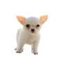 4C6D1458-E441-4FD6-9812-2EADD0045064.PNG