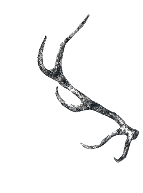 807-8072577_drawn-horns-png-tumblr-antle