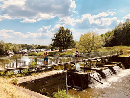 Journée de l’environnement