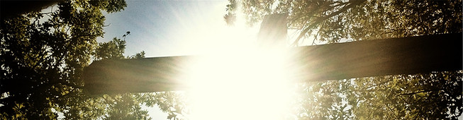 Faith Development Programs