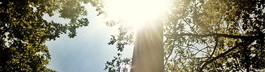 Faith Development Programs