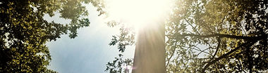 Faith Development Programs