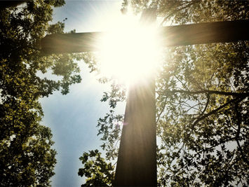 What Should I Give Up