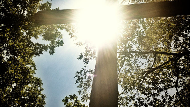 Faith That Will Amaze