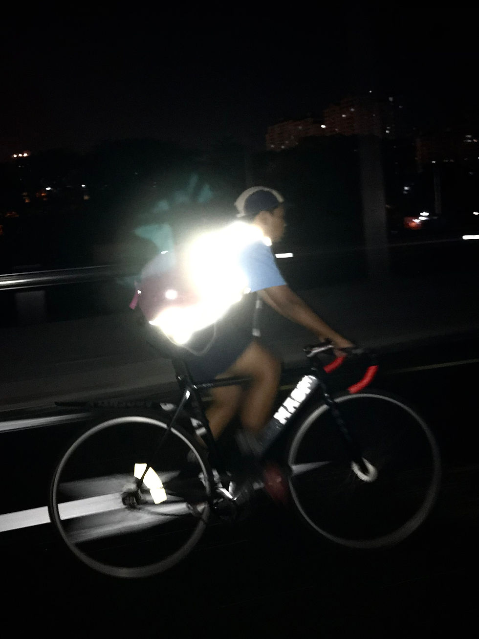 Thumbnail: RIDEWILD CNARUN REFLECTIVE VEST