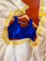 Block pattern kasavu saree top view