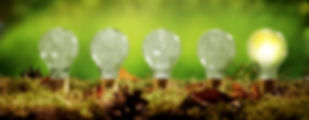 AdobeStock_164725843.jpeg