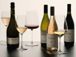 Vinos NoLo: un granito de arena para la transformación del sector vitivinícola