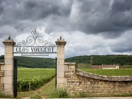 ¿Qué tiene la pinot noir que tanto encanto despierta?