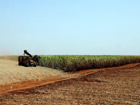 IBGE prevê safra recorde de 346 milhões de toneladas em 2025