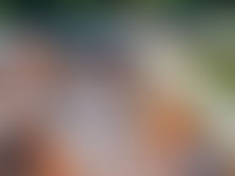 Avanço no saneamento básico: elevatória é liberada para operação e deve beneficiar 20 mil moradores em Lucas do Rio Verde