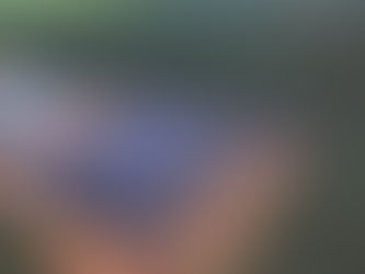 Mercado de energia limpa avança no campo e ajuda produtores a economizar