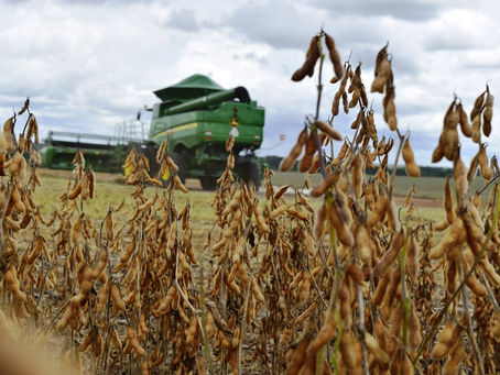 Problemas climáticos contribuíram para alta nos preços