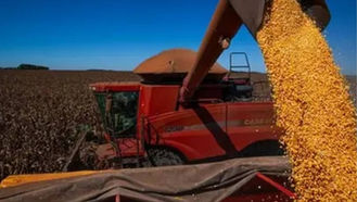 PIB da agropecuária avança 11,7% e contribui para fortalecimento da economia em 2025