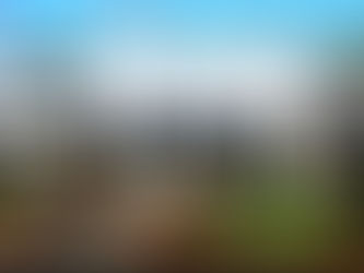 CÂMARA MUNICIPAL DE TAPURAH