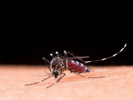 Vacina contra dengue tem eficácia comprovada em adolescentes