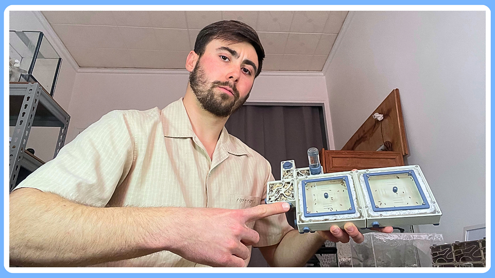 Miniature de ma vidéo "Je vends mes fourmis ! (vlog GF 14)" où j'expliquais que je vendais des colonies dont je ne pouvais plus m'occuper correctement.