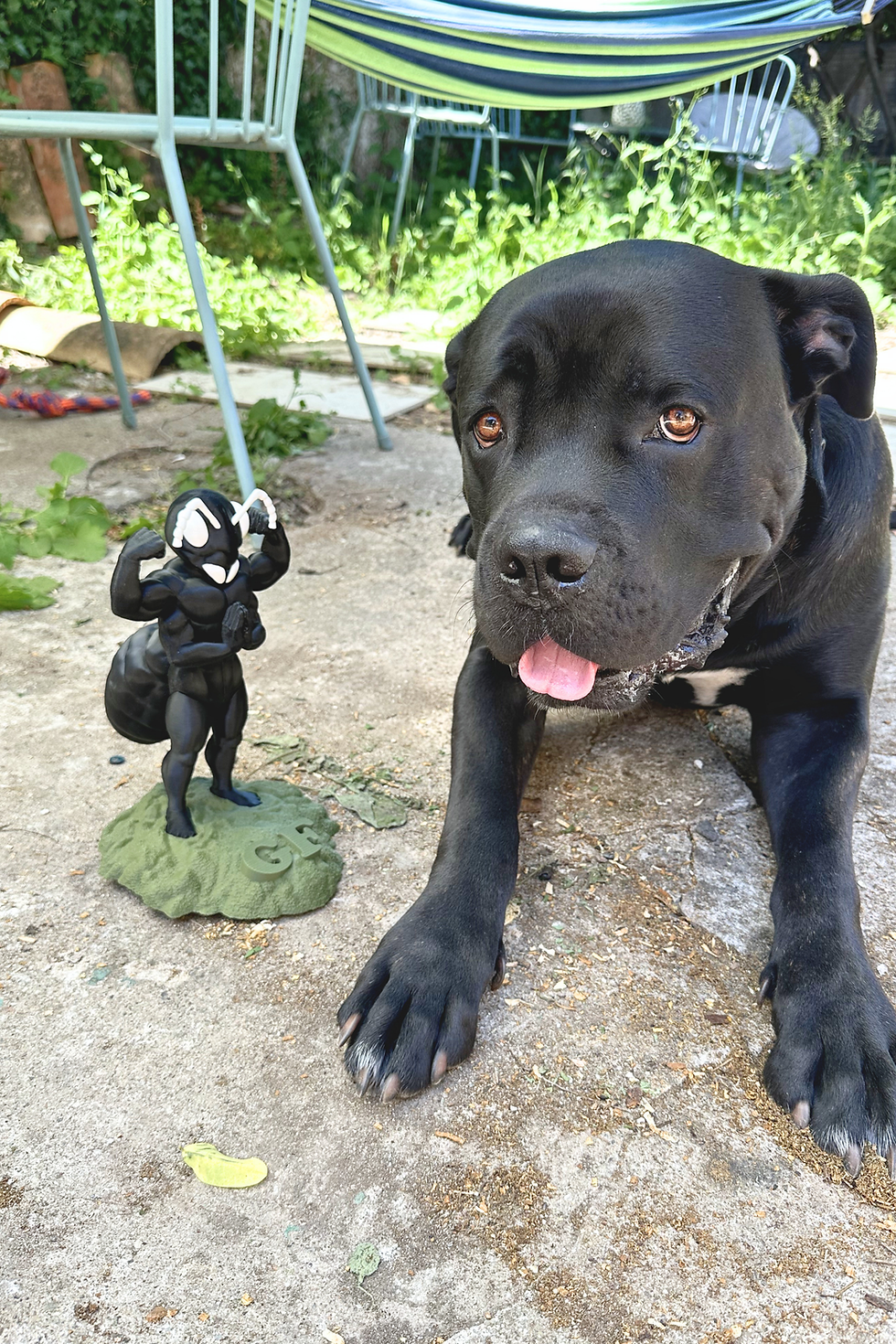 chien cane corso avec une statuette mascotte gigafourmis imprimée en 3D