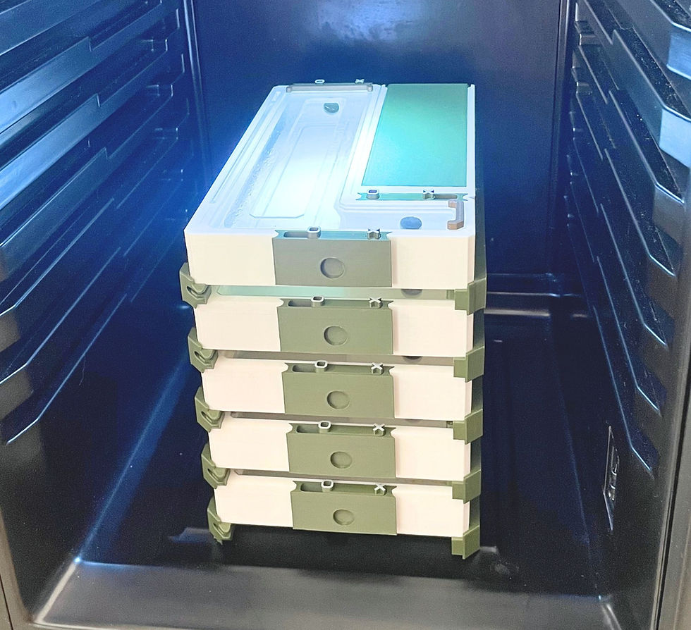 J'empile dans la cave à vin les colonies que j'élève dans mon kit d'élevage Bunker-Lab grâce aux stands.