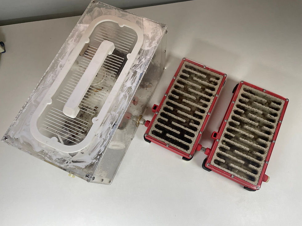 Leur installation juste avant que je ne les déménage dans un espace plus grand. Leur gestion y était devenue difficile, un grand nombre de fourmis vivaient au milieu de l'aire de chasse dans les déchets, ce qui m'empêchait de nettoyer correctement. Retrouvez en cliquant ici la vidéo du déménagement.