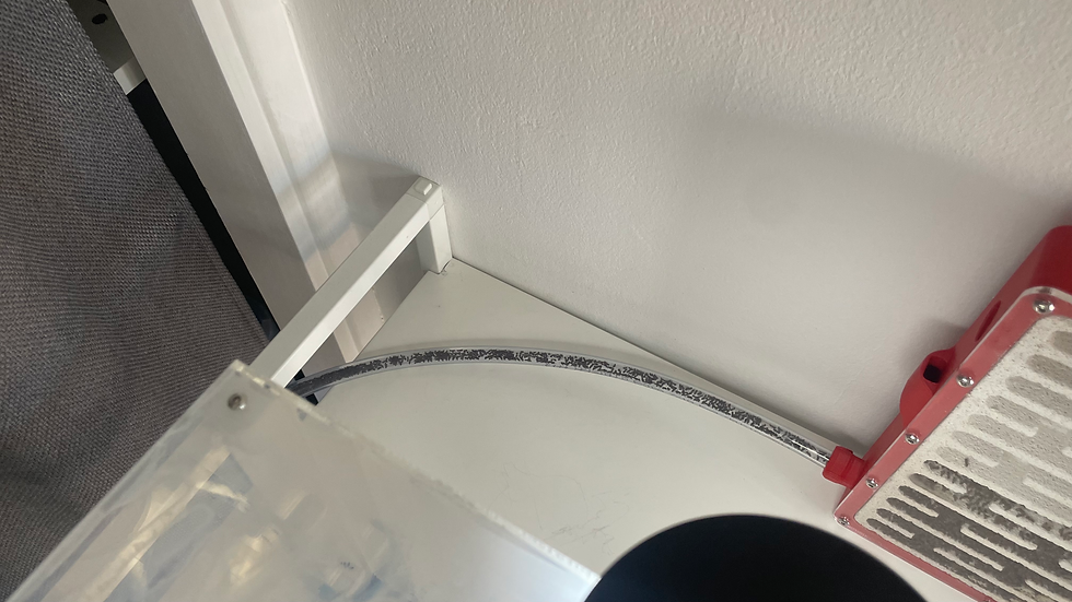 Première photo du tuyau reliant le nid aux aires de chasse, comme vous pouvez le constater les fourmis y vivent par centaine.