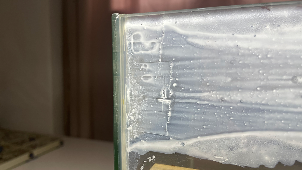 Le scotch que j'ai collé sur le joint silicone pour empêcher les fourmis de s'évader