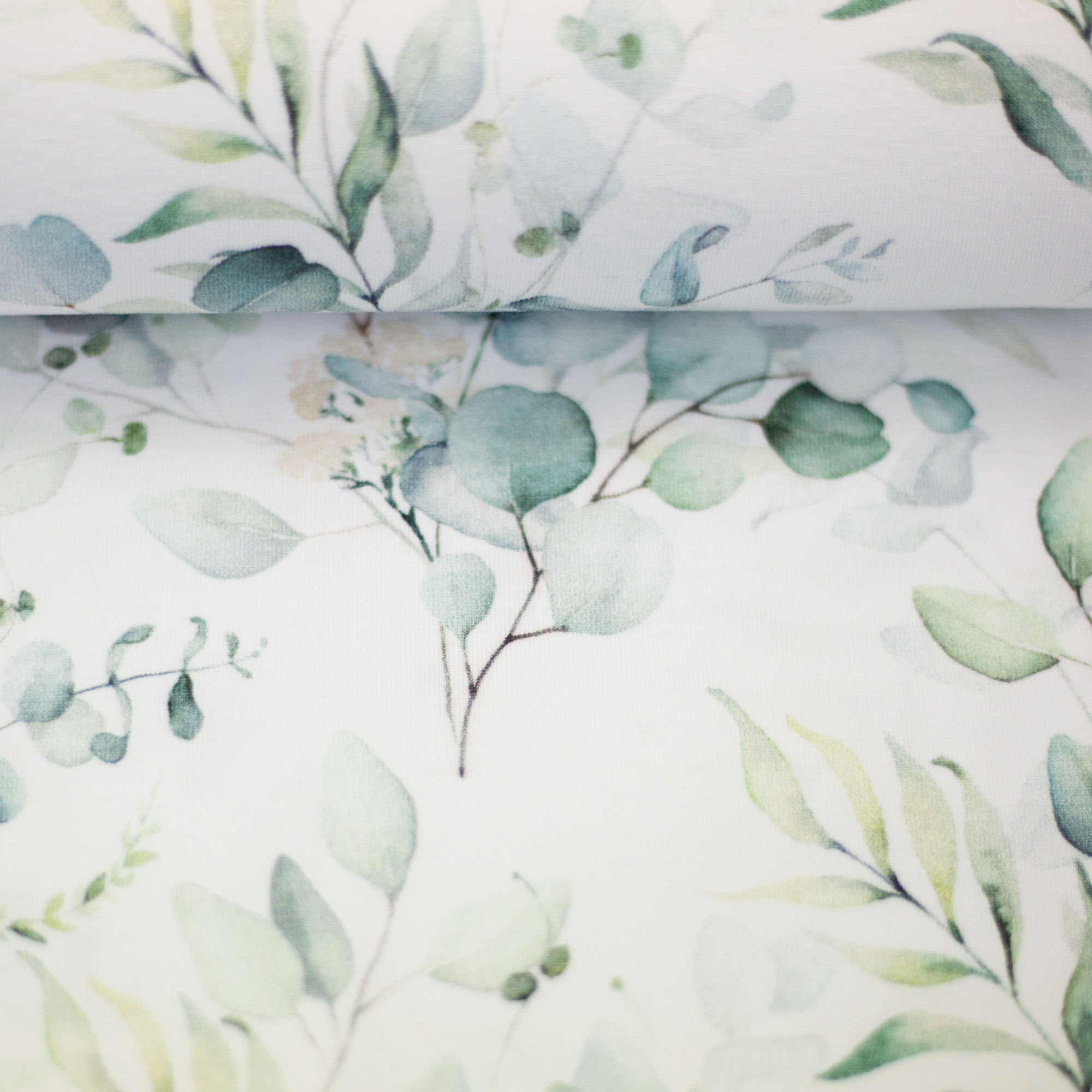 Jersey Baumwolle „Theo“ – Eukalyptus Mint/Weiss - Swafing