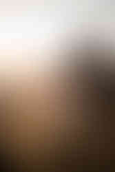 Port Talbot Family Photoshoot