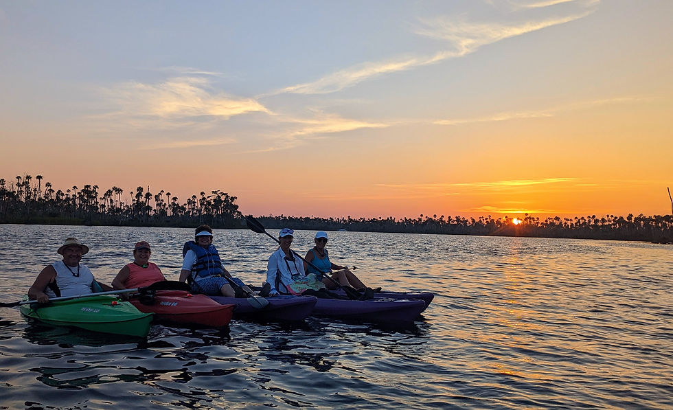 Dunnellon Goldendale Paddle with Newcomers Kayak Club December 2024 Nature Coast Eco Tours