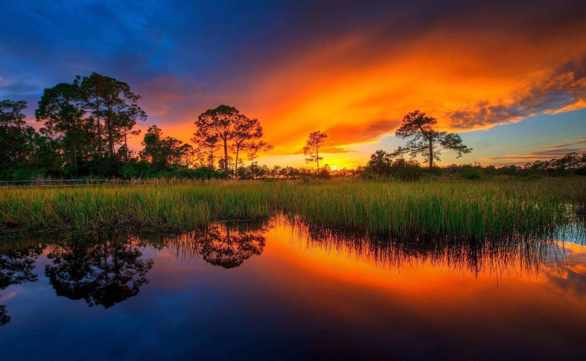 Nature Coast Eco Tours Kayak Tours Boat Cruises Scalloping Wildlife