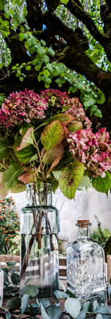 Biohacking Retreat
Event photography