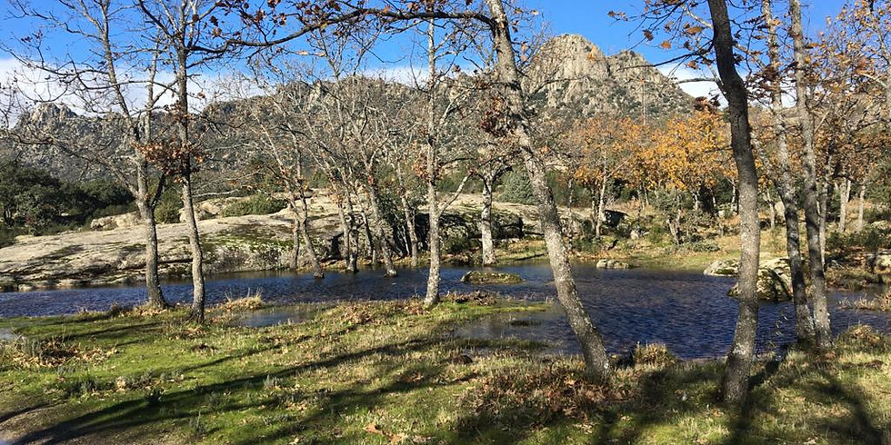 Ruta La Dehesa - La Cabrera
