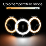 10-RGB-Ring-Light-With-Phone-Tripod-Stan