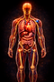 image (3).png