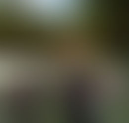 Into the thick of it