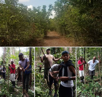 Into the thick of it