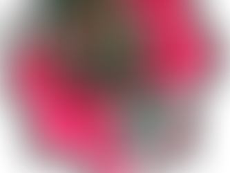 A festive holiday wreath decorated with bright red ribbon, dried ferns, and playful plastic lizards hung on a wooden door.