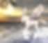 D2771F19-D598-41BC-92E4-FA1126FF05F0_edited.jpg