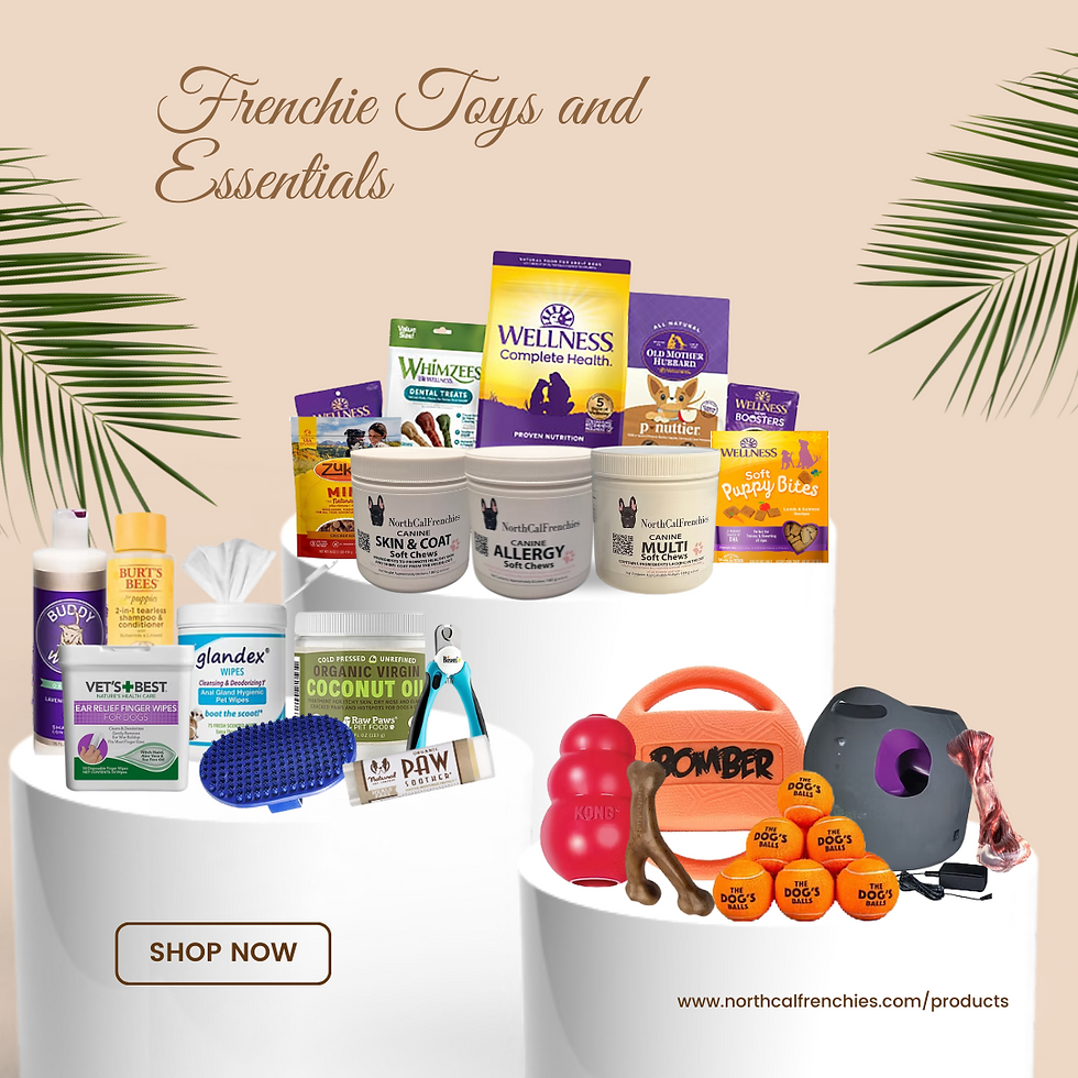 French Bulldog Essentials and Services