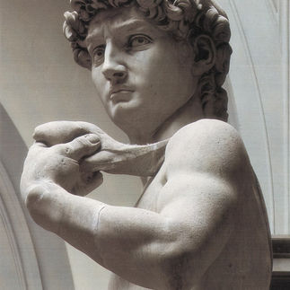 David, Michelangelo - particolare volto