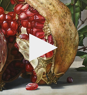 melograno-gioacchino-passini-melagrana_e