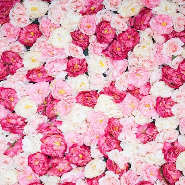 Pink Floral Wall