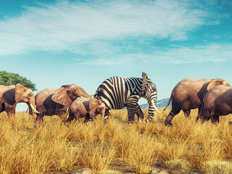 audace, une vertu à cultiver