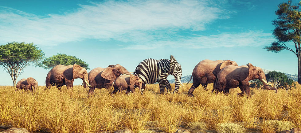 audace, une vertu à cultiver