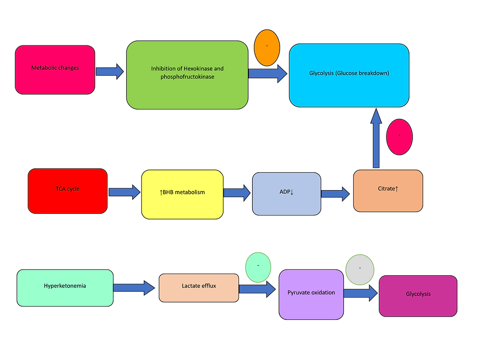 metabolic changes due to hyperketonemia