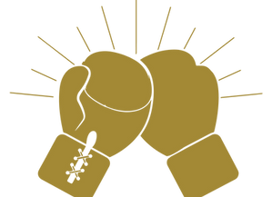 boxinggloves_gold.png