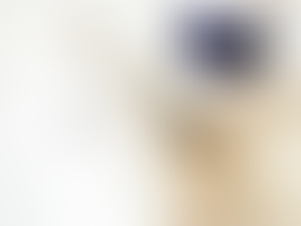 Elevate Your Wellness Journey in 2024 with MYCBD's Highly Bioavailable CBD